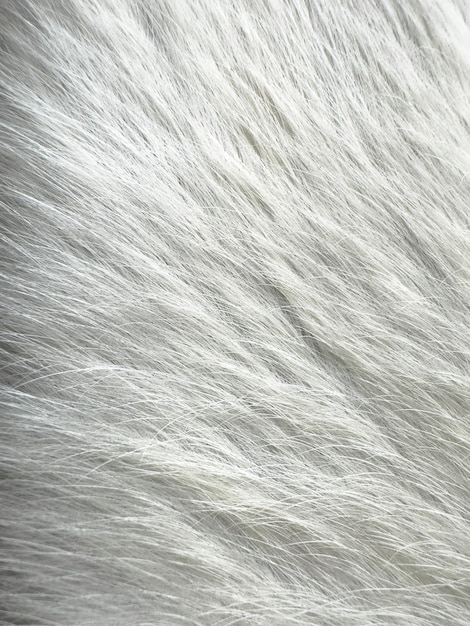 Photo skin texture with white animal hair