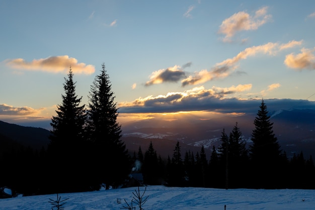 Skipiste en stoeltjeslift met besneeuwde bomen op zonnige dag. Skigebied Combloux, Franse Alpen