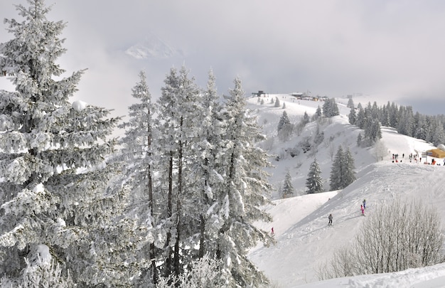 Skipiste in de bergen