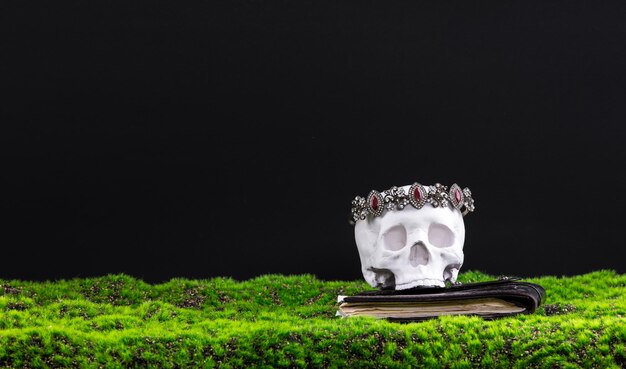 Photo skull ancient crown and chest