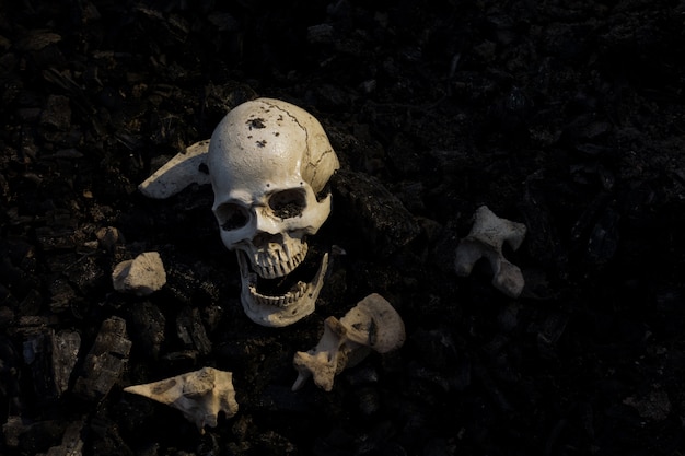 Skull and bones digged from pit in the scary graveyard which has dim light 