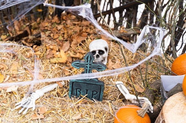 頭蓋骨と骨のハロウィーン