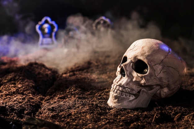 Photo skull between fog on ground