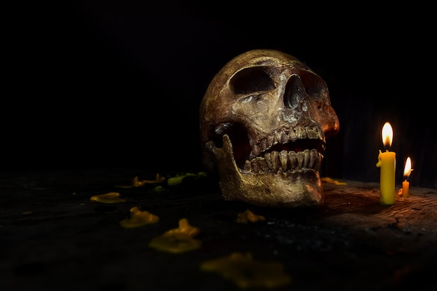 Skull image in darkness with candle light. Halloween concept