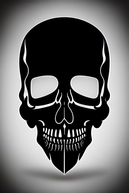 Photo skull isolated on white and black