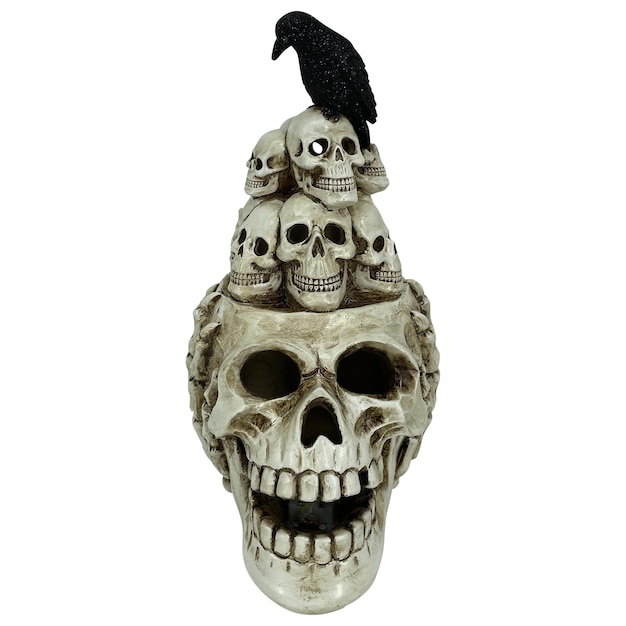 a skull with a bird on it sits on a skull