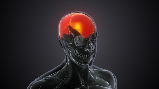 Photo a skull with a red ball on its back and a red ball in the middle