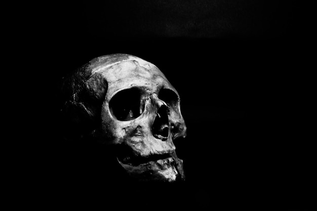 Photo a skull with a skull that says 