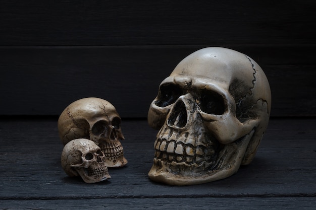 skull on wood background