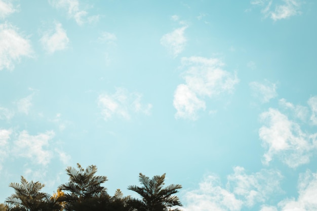 空 夏の素晴らしい雲空