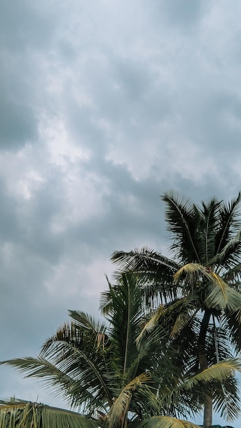 写真 空の背景-1