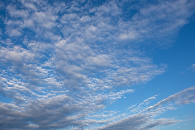 夜の空の背景と雲