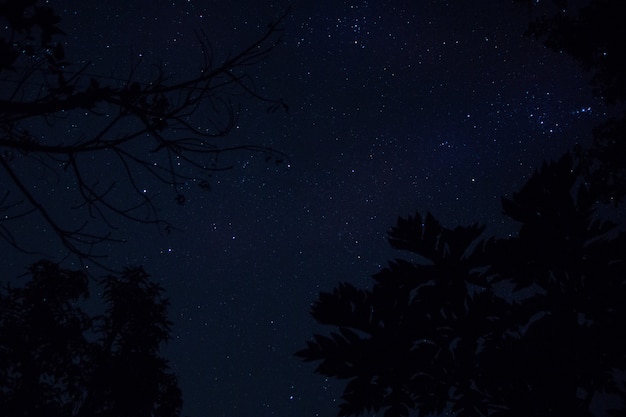 Foto sky sfondo e stelle di notte