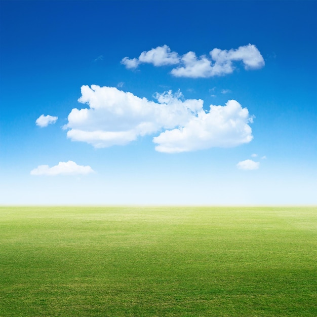 Photo sky and clear grass