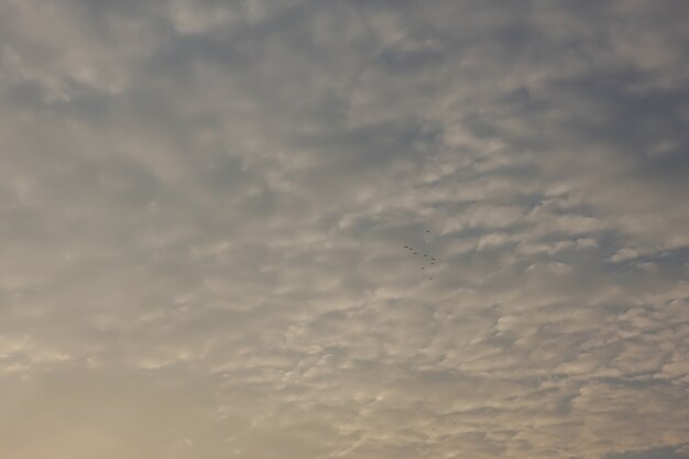 sky and cloud with stormy clouds