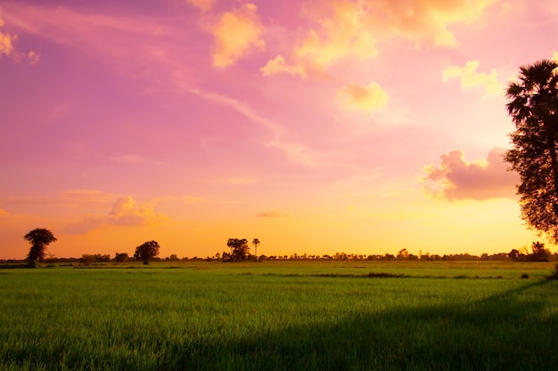 The sky and clouds of the green fields