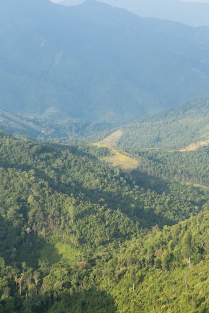 Sky, forest and mountains.