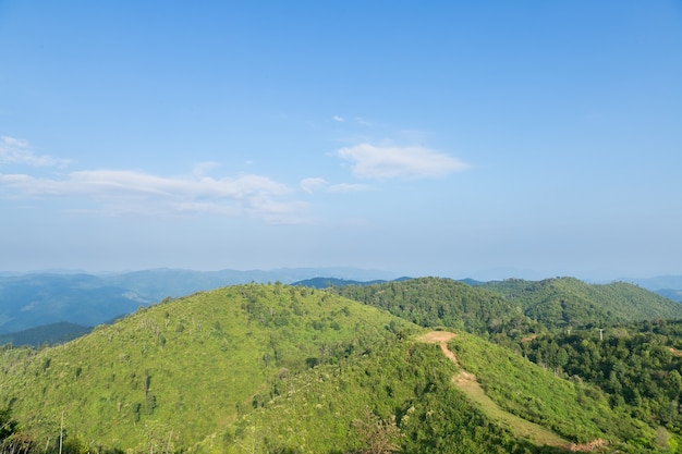 Sky, forest and mountains.