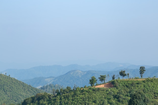 Sky, forest and mountains. 