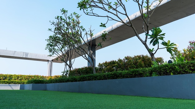 Sky garden on private rooftop of condominium or hotel rooftop high architecture building with tree grass field Green area of condominium or hotel on blue sky