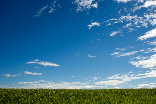 Foto il cielo sopra l'erba verde. sfondo