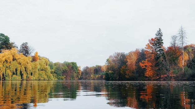 A sky is reflected in the autumn lake