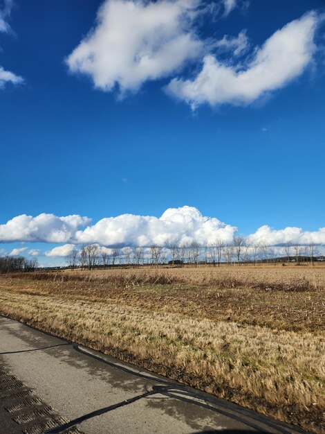 Sky meets field