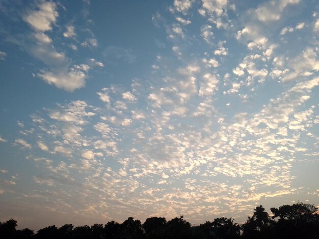 Photo the sky above my house