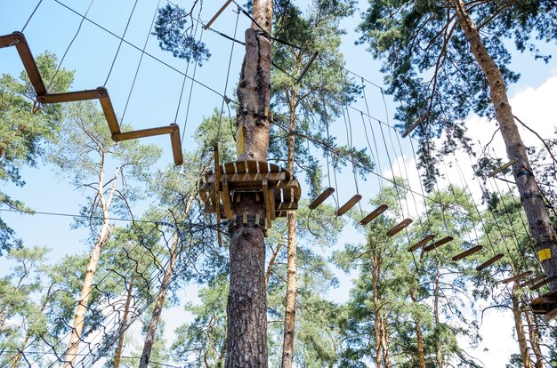 sky park  rope maze high in the  trees in the forest