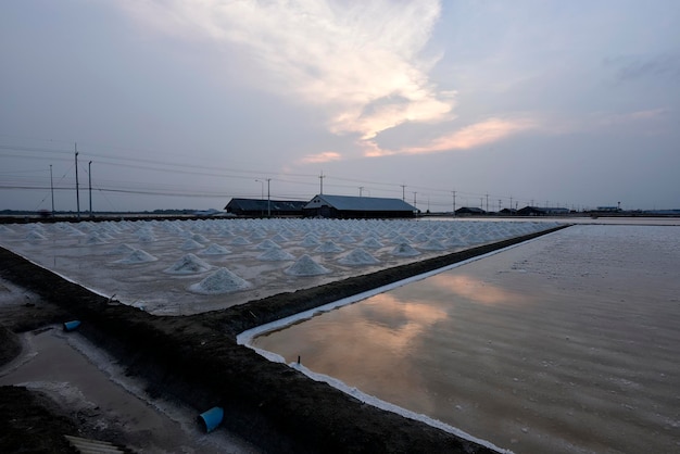 Sky reflection from seawater of salt farm at dawn