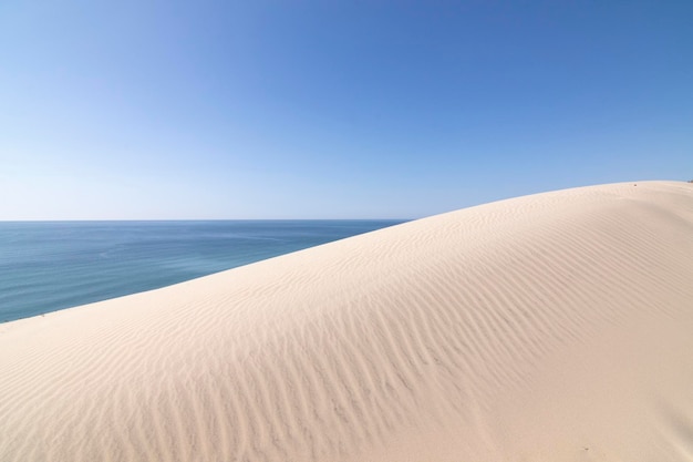 空、海、砂丘を背景に。ビーチ エル アスペリージョ、ウエルバ、スペイン。