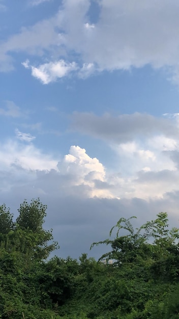 Photo sky and some trees below