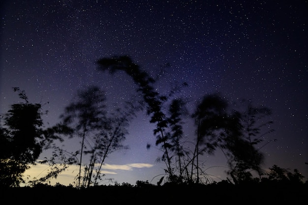 Sky and the stars, the milky way in the night itself