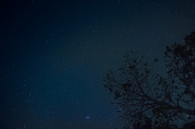 Sky and stars at night