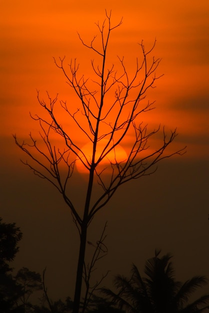 Photo sky, sunset, landscape, background, nature, sun, beautiful, sunrise, horizon, summer, light, sunny