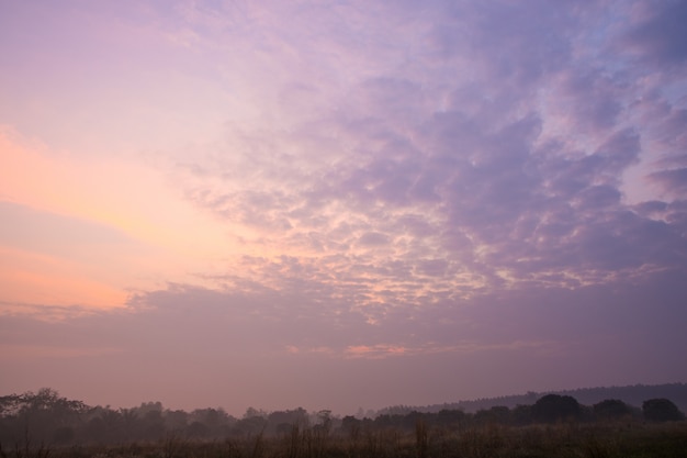 Sky and sunshine in the morning