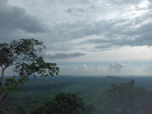 Sky View in Hill track