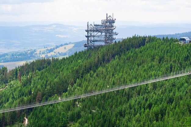 Sky walk observation tower in the forest between mountain hills near sky bridge in a sunny summer da