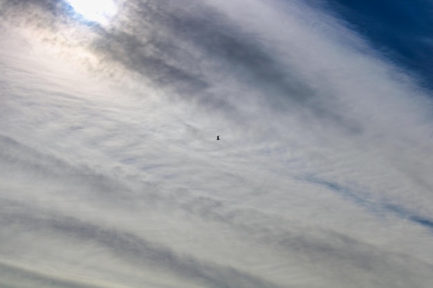 Photo sky with cloud