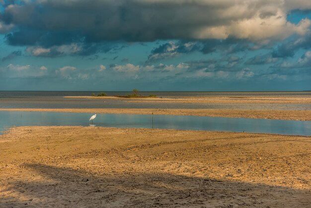 The sky with clouds reflected in the waters of the estuary