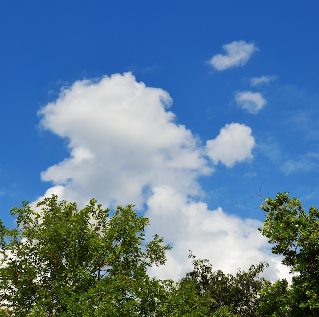 Foto cielo con nuvole