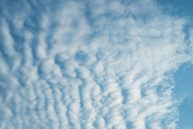 중간 크기의 구름이 여러 개 있는 하늘 Altocumulus 배경 질감