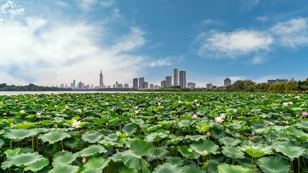 The skyline of modern urban architecture in Nanjing