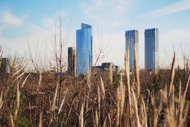 Фото skyline of buenos aires с полями.