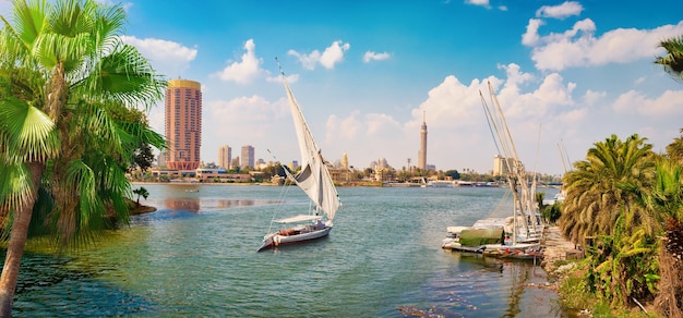 Skyscrapers of Cairo