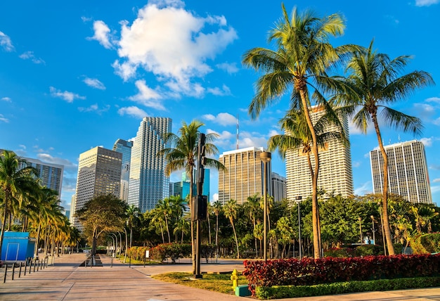 skyscrapers of downtown miami seen from bayfront park florida united states