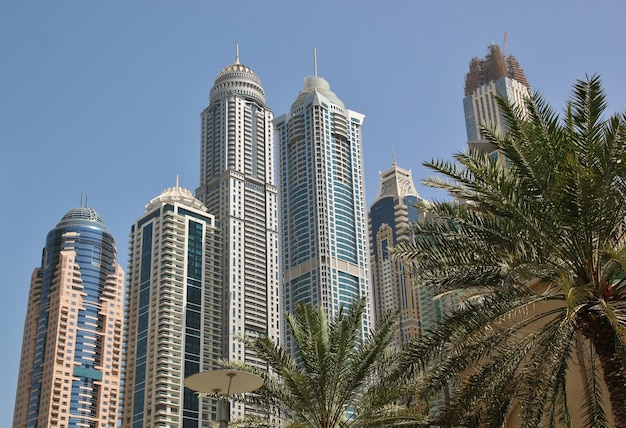 두바이의 고층 빌딩