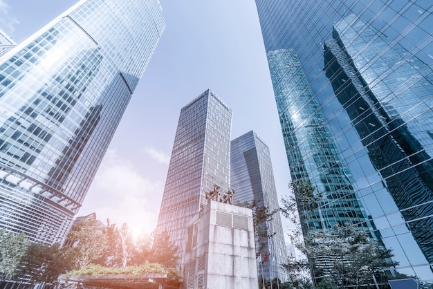 Skyscrapers from a low angle view 