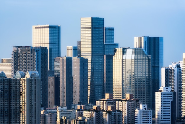 写真 都市の高層ビル