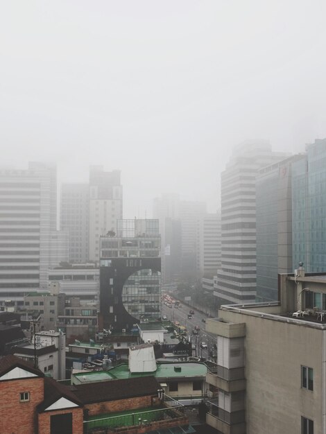 사진 도시 에 있는 마천루